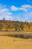 See mit Gras und Bäumen im Herbst, Glenallen Hwy, Alaska, Vereinigte Staaten von Amerika, Nordamerika
