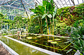 The botanical gardens of Villa Taranto, Pallanza, Lake Maggiore, Verbania District, Piedmont, Italian Lakes, Italy, Europe