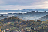 Hügel und Weinberge der Langhe, UNESCO-Welterbe, an einem Herbsttag, Alba, Langhe, Bezirk Cuneo, Piemont, Italien, Europa