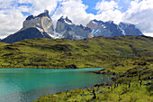 Torres del Paine National Park, Patagonien, Chile, Südamerika