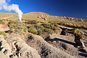 El Tatio Geysirfeld, Atacama-Wüstenplateau, Chile, Südamerika