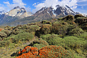 Torres del Paine National Park, Patagonien, Chile, Südamerika