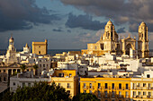 Skyline mit Kathedrale, Cadiz, Andalusien, Spanien, Europa