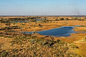 Luftaufnahme des Okavango-Deltas, UNESCO-Welterbe, Botsuana, Afrika