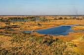 Aerial view of the Okavango Delta, UNESCO World Heritage Site, Botswana, Africa