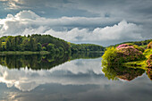 Reflektionen an einem ruhigen Sommerabend am Kennick Reservoir, Dartmoor National Park, Devon, England, Vereinigtes Königreich, Europa