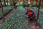 Feld- und Zertifizierungsbetreuer in der Baumschule, Kopakama Coffee Grower's Cooperative, Rutsiro, Ruanda, Afrika