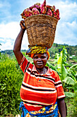 Woman carrying a basket of sweet potatoes on her head in western Rwanda, Africa