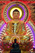 Die Erleuchtung des Buddha, Hauptaltar mit goldener Buddha-Statue, Buddhistischer Tempel Phat Ngoc Xa Loi, Vinh Long, Vietnam, Indochina, Südostasien, Asien