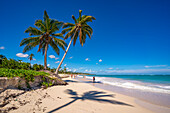 Blick auf Palmen und Meer am Bavaro Beach, Punta Cana, Dominikanische Republik, Westindische Inseln, Karibik, Mittelamerika