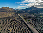 Luftaufnahme des Weinanbaugebiets La Geria, Nationalpark Timanfaya, Lanzarote, Las Palmas, Kanarische Inseln, Spanien, Atlantik, Europa