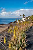 Blick auf die Küstenlinie und den Strand Playa El Barranquillo, Puerto Carmen, Lanzarote, Las Palmas, Kanarische Inseln, Spanien, Atlantik, Europa