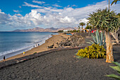 View overlooking Playa Grande beach and Atlantic Ocean, Puerto del Carmen, Lanzarote, Las Palmas, Canary Islands, Spain, Atlantic, Europe