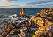 Wellen, die am Cabo Carvoeiro im Abendsonnenlicht gegen einen Felsvorsprung prallen, mit Ilha da Berlenga in der Ferne, Peniche, Centro Region, Estremadura, Portugal, Europa