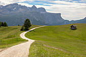 PIz La Ila, Alta Badia, Badia Valley, Dolomites, Bolzano province, South Tyrol, Italy, A chalet with mountains in the background