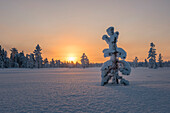 Arctic sunrise, Lapland, Finland, Europe