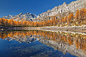 Herbstliche Reflexionen auf dem Nero-See (lago Nero), Naturpark Alpe Devero, Baceno, Alpe Veglia und Alpe Devero, Provinz Verbano-Cusio-Ossola, Piemont, Italien, Europa