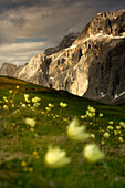 Europe, Italy, Dolomites, Fassa valley, Sella pass. Spring on the Sella pass