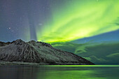 das Nordlicht über den Gipfeln in der Nähe des Gryllefjordes, Senja, Norwegen, Europa