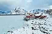 Wintertag im Dorf Reine mit schneebedecktem Berggipfel, Lofoten Inseln, Norwegen, Europa
