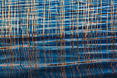 Waves betweeen a reed at Idroscalo lake, Milan, Lombardy, Italy