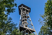 Wooden watchtower on the height of lake zurich, aussichtsturm albis-hochwacht, albispass, canton of zurich, switzerland