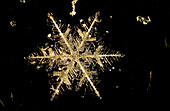 Individual snowflakes are difficult to photograph because they melt quickly unless it is extremely cold. Their delicate crystal shapes usually form a hexagon pattern and no two snowflakes are ever identical or alike.