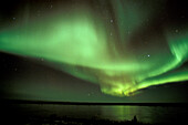 Aurora Borealis Northern Lights reflected in tundra lake near Churchill, Manitoba, sub-arctic, Northern Canada