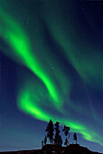Aurora Borealis Nordlicht auf der Tundra über borealen Schwarzfichten ( picea marianus ) in der Nähe von Yellowknife Nordwest-Territorien subarktisches Nordkanada