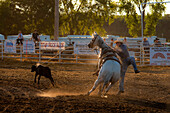 Cowboy beim Rodeo-Abseilwettkampf.