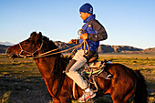 Mann auf einem Pferd in der Mongolei