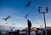 The harbour of Essaouira when the fish boats just arrive in the afternoon