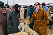 People and animals in the animal market in Guelmim