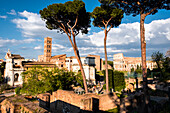 Ruins of the ancient Rome in the Roman Forum