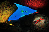 Taucher und künstlerische Lichtaufnahme der Höhle von Scilla, Italien