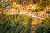A pine on the way to Raito, Amalfi drive, Vietri sul Mare, Salerno province, Campania region, Italy, Europe