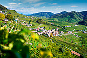 Hills and vineyards near Valdobbiadene, on the road of Prosecco, famous white sparkling wine. Autumn scene, Veneto, Italy