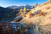 Vallone del Rio Bianetto, Locana, Valle dell Orco, Provinz von Turin, Graue Alpen, Piemont, Italien