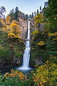 Multnomah Falls in autumn. Cascade Locks, Multnomah county, Oregon, USA.