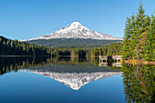 Mt. Hood spiegelt sich im Trillium Lake. Government Camp, Landkreis Clackamas, Oregon, USA.