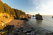 Landscape at Second Beach, part of the Samuel H. Boardman Scenic Corridor State Park. Brookings, Curry county, Oregon, USA.