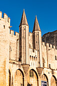 Palais des Papes im historischen Zentrum von Avignon. Avignon, Provence, Region Côte d'Azur, Frankreich, Europa.