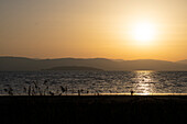 Italien, Umbrien, Trasimeno-See, Insel Maggiore bei Sonnenaufgang