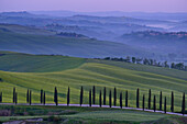 Italy, Tuscany, Orcia Valley, Meadows at blue hour in Spring