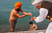 Pilger (Familie) beim Baden im heiligen Becken Amrit Sarovar, Goldener Tempel, Amritsar, Punjab, Indien
