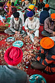 Freiwillige Helfer bereiten Zwiebeln zum Kochen vor, um Mahlzeiten für die Pilger zuzubereiten, die den Goldenen Tempel besuchen. Jeden Tag wird kostenloses Essen für 60.000 - 80.000 Pilger serviert, Goldener Tempel, Amritsar, Punjab, Indien