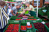 Farmers' market at Kaiser-Josef-Platz square, Graz, Austria