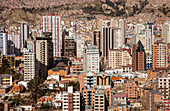 Panoramic view of downtown, La Paz, Bolivia