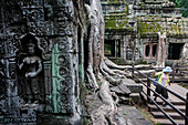 Ta-Prohm-Tempel, Archäologischer Park von Angkor, Siem Reap, Kambodscha