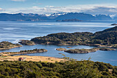 panoramic view of Wulaia Bay, also called Caleta Wulaia, Navarino Island,Tierra de Fuego, Patagonia, Chile